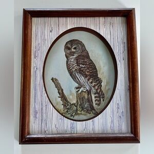 Vintage | Framed Owl Shadowbox Print | E. Rambow Owl Art | Wall Decor | Cabin
